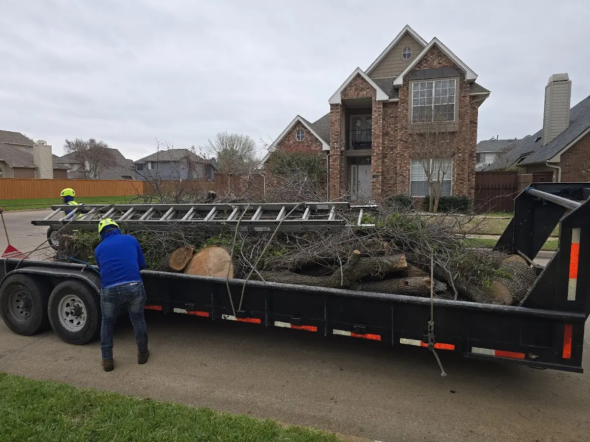 Expert Tree Pest Control with proper safety equipment in Notre Dame